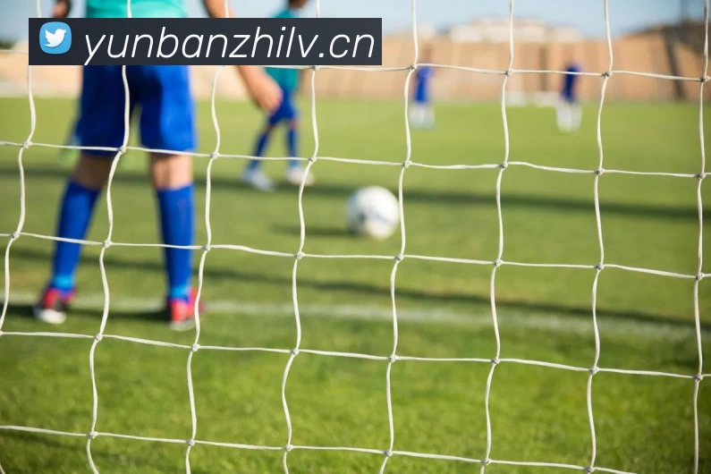 qy球友会(中国)官方网站服务体系